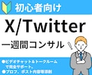 X/Twitter  １ヶ月コンサルします 初心者でも分かりやすいX運用方法教えます。 イメージ1