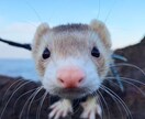 今後の人生どう生きるか共に考えて後押しします 人生死ぬまでの暇つぶし。暇つぶしを充実させましょう！ イメージ1