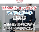 アイテムリーチの運用代行します アイテムマッチ/ストアマッチPro/Yahoo!ショッピング イメージ1