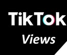 TikTok ＋5000再生が増えるよう宣伝します ☆プラチナ承認☆ TikTokを始めたい方へ！ イメージ2
