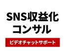 あなたの収益化をマンツーマンで徹底サポートします 【アカウント設計ご購入者様限定】ビデオチャットサポート イメージ1