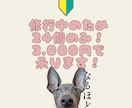 自慢のうちの子（ペット）のLINEスタンプ作ります 特訓期間のため２４個3,000円の１メニューです！ イメージ4