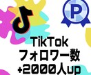 TikTokのフォロワーを2000人増やします TikTokいいね再生の他にもセーブシェアなども御座います イメージ1