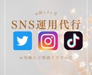 SNSの運用代行致します InstagramやTikTok、Twitterの運用代行 イメージ1