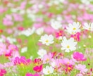 あなたの気持ちを大切に♡お話し相手になります ☆恋愛/不倫/仕事/愚痴/毒親/話し相手/不安な気持ち☆ イメージ9