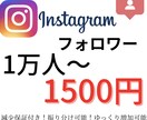 10名様限定】インスタ1万人1500円で増やします 振り分け可能！減少保証付き！ゆっくり増加可能！ イメージ1