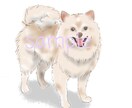 アイコンイラスト描きます こちらは動物のみです、人物は別になります。 イメージ1