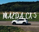 なんでも編集します 早い納品でクオリティーの高い映像を イメージ1