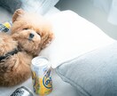 日常のモヤモヤや気になったことお話できます 愚痴聞きも得意です！人と話すだけでスッキリすることありますよ イメージ2