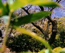 Instagramの投稿をお手伝いします 投稿したいけど何を投稿したら良いの？そんなお悩み解決します！ イメージ3