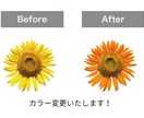 カラー　色　変更いたします 経験豊富な現役デザイナーが迅速に対応いたします イメージ1