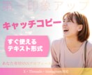 SNSプロフィールを作成します プロフィール・固定投稿をまとめて作成します イメージ3
