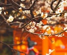 神鏡秘占｜停滞を断つ｜心鏡を清めて現状を打破します 神鏡秘占｜魂の奥底の願いと神託を鏡に映し出します イメージ3