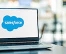 Salesforceカスタマイズします Salesforceを使いやすいように改善します。 イメージ1