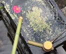 絶対否定はしないお話相手になります アドバイスも欲しくない、背中を押してほしいあなたに❤️ イメージ4