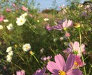 何でもお話し下さい。じっくり聞きます 話を聞いてもらうだけで心が晴れる事もある！思う存分話して！ イメージ1