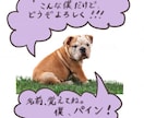Instagram用！愛犬紹介メモレコ、作ります ◆愛すべき愛犬をInstagramで紹介しませんか？ イメージ1