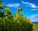 心躍るような音楽のジャケット写真撮ります 音楽ジャケット写真や雑誌の表紙等の写真を撮影します！ イメージ2