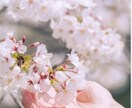 誰か聴いて〜を、ひたすら聞きます 誰かの幸せを祈るマヤ暦アドバイザー。 イメージ1
