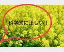 心と体が健康になる方法を具体的に教えます 悩みがある人〜不安、ストレス、肥満、人間関係、メンタルヘルス イメージ1
