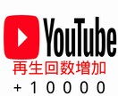 YouTube+10000再生数拡散します お好きな動画の再生回数を増やします☆彡海外からの視聴 イメージ1