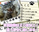 大好きなペットちゃんの説明書（動画）製作します ♪　ペットが好き好き♪　飼い主様のインタビューをもとに作成！ イメージ8