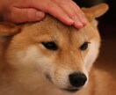 誰かとちょこっと話したいとき、1分でもお話聞きます 雑談から悩み事まで！お試し1分から！途中で切っても大丈夫！ イメージ9
