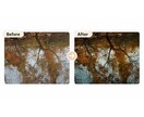 写真の色味・明るさを整えます SNS・商品写真を自然な雰囲気に補正します イメージ3
