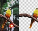 5枚1000円で写真の背景削除・白抜きします Amazon,楽天,ヤフオクやメルカリなどの商品画像に イメージ1