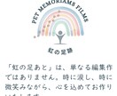 写真から虹の橋のあの子と再会する動画を作ります 1枚の写真から亡き最愛のペットの面影が蘇る動画を制作します。 イメージ4