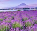 もう我慢しないで❤️HSP同士が丸ごと受け止めます 悩み相談　雑談❣️傾聴　パワハラ　セクハラ　依存症　男女OK イメージ8
