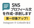 SNSプロフィール文を作成・添削します 第一印象をアップさせる自然な自己紹介文を作成します！ イメージ1