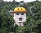たぬきのまっさんが占います 占って欲しい内容を教えてください。 イメージ1