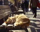 キャリアコンサルタントが将来の不安一緒に考えます 未来をより良くするための健康を手に入れましょう イメージ2