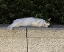 あなたの愚痴の吐きどころになります。ます 気持ちが楽になれるよう一生懸命あなたのお話しを聞きます。 イメージ2