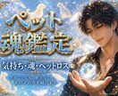 ペットの気持ちと魂のメッセージを視ます 生きていても、旅立っても。 あの子の声を届けます。 イメージ1