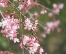 辛い職場◆あなたを苦しめる上司の愚痴をお聞きします 嫌な上司をとことんdisってストレス解消してください。 イメージ2