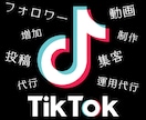 TikTok｜動画制作～集客運用までサポートします トータルサポートから必要な時に必要なサポートまで魂を込めて イメージ1