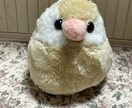 小鳥さん制作します ご依頼後制作開始しますよろしくお願い致します イメージ7