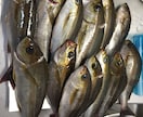 海釣りに行く事前準備のあれこれおしえます 海釣り全般の持ち物、天気の見方、おすすめの船宿など イメージ2