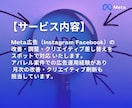 Meta広告インスタ広告の初期調整／改善いたします Meta/インスタ広告の改善・クリエイティブ差替を行います イメージ2