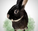 ペットちゃんのイラストを制作します お家の壁にもワン・ニャン・ピョン イメージ7