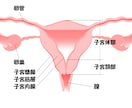子宮ヒーリングをお届けします 【もやもやをすっきり】感情解放＋子宮からのメッセージ イメージ3