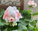 1分からOK～　あなたのお話を聞かせていただきます お悩み相談/愚痴/話し相手/鬱/パワハラなど　何でもOK☘️ イメージ7