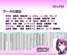 競馬☆ レース結果データを収集します ★第１日曜日を含む節のデータ★ イメージ3