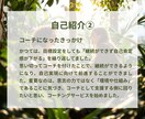 1ヶ月コーチングで目標達成をサポートします ビデオチャット60分＋チャットサポート1ヶ月で伴走します！ イメージ5