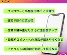 インスタ日本人フォロワー増加を自然にサポートします 100＋α目安｜少人数10件から安心して気軽にご相談できます イメージ5