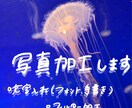 今どきの画像加工します SNS等のアイコンにも使える！！ イメージ1