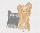 世界にひとつのうちの子似顔絵制作します 愛犬・愛猫・小動物OK、優しいタッチで大切な子をイラストに イメージ6