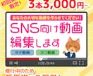 まずは3本3,000円～｜SNS向け動画編集します 初回受注の方限定！丁寧な作業には自信があります！ イメージ1